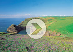 Banishing the blues: video